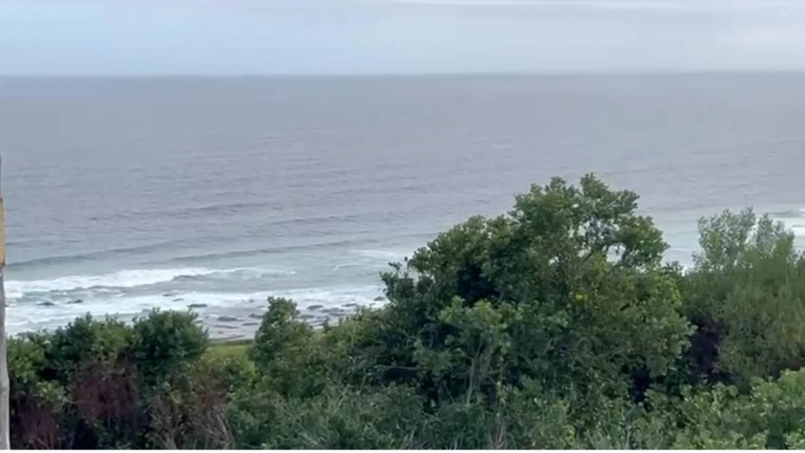 0 Bedroom Property for Sale in Beachview Eastern Cape